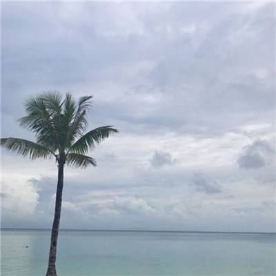 宝宝爱画画游戏app下载