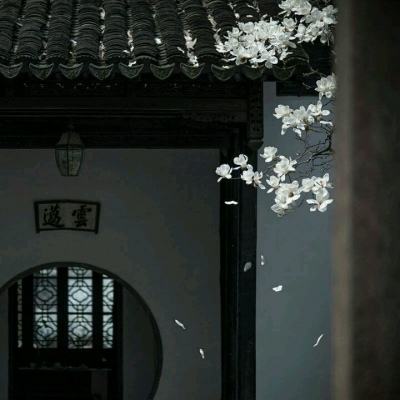 武林群英传手游公益服下载